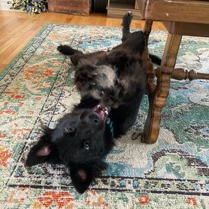 Meet your Posher, Kerrin